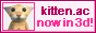 kitten.ac